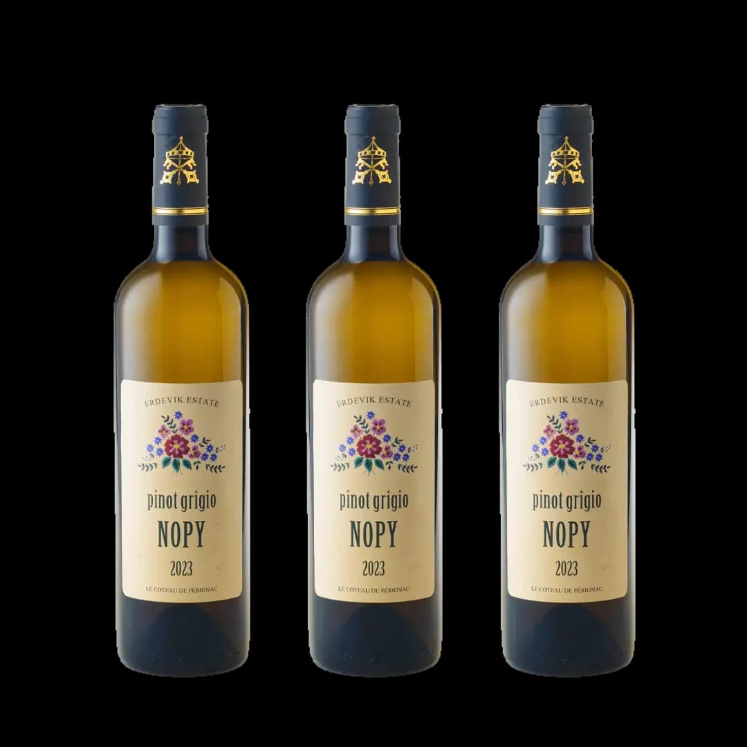 Nopy Pinot Grigio Erdevik